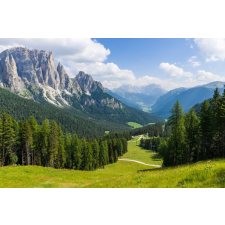  Öntapadós tapéta Natura46, 200 x 150 cm tapéta, díszléc és más dekoráció