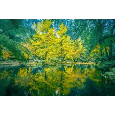  Öntapadós tapéta Natura60, 250 x 200 cm tapéta, díszléc és más dekoráció