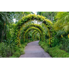  Öntapadós tapéta Padure62 virágívekkel, 350 x 250 cm tapéta, díszléc és más dekoráció