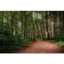  Öntapadós tapéta Padure63 pályával, 250 x 200 cm tapéta, díszléc és más dekoráció