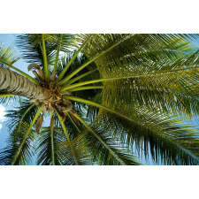  Öntapadós tapéta Pálmafa alatt, 300 x 200 cm tapéta, díszléc és más dekoráció