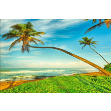  Öntapadós tapéta Pálmafák a tengerparton, 350 x 200 cm tapéta, díszléc és más dekoráció