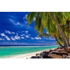  Öntapadós tapéta Pálmafák, trópusi tengerpart, 400 x 250 cm tapéta, díszléc és más dekoráció