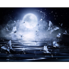  Öntapadós tapéta Pillangók az éjszakai fényben, 300 x 250 cm tapéta, díszléc és más dekoráció