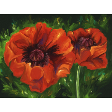  Öntapadós tapéta Pipacsok, festmény, absztrakt, 270 x 200 cm tapéta, díszléc és más dekoráció