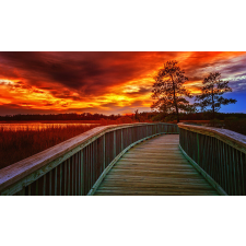  Öntapadós tapéta Tree in the sunset, 300 x 200 cm tapéta, díszléc és más dekoráció