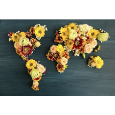  Öntapadós tapéta Virágkontinensek, 300 x 250 cm tapéta, díszléc és más dekoráció