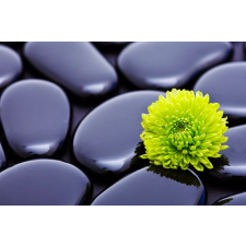  Öntapadós tapéta Zöld krizantém kövekkel, 300 x 250 cm tapéta, díszléc és más dekoráció