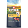 Ontario Senior Mini Lamb & Brown Rice 6,5 kg