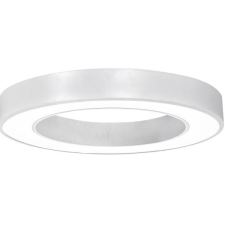 Optonica led lámpa, kör alakú, 600x80 mm, 2919 világítás