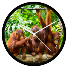  Orángutánok falióra falióra