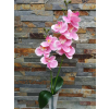 Orchidea gumis Phalaenopsis 2 ágú 2 leveles művirág 45 cm - Rózsaszín