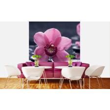 Orchidea lávaköveken, poszter tapéta 225*250 cm tapéta, díszléc és más dekoráció