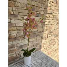  Orchidea Művirág 1 szálas kaspóban #rózsaszín-zöld dekoráció
