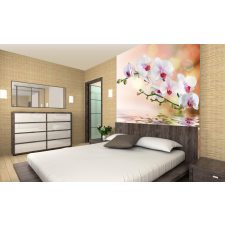 Orchidea, poszter tapéta 225*250 cm tapéta, díszléc és más dekoráció