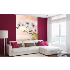 Orchidea, poszter tapéta 225*250 cm tapéta, díszléc és más dekoráció