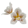  Orchidea virágfej polifoam D10cm fehér 24db/csom