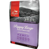 Orijen Puppy Large 6kg