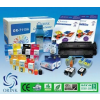 ORINK HP 951XL CN048AE FU. TINTAPATRON YELLOW ORINK