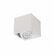 Orlicki Design Cardi I mennyezeti lámpa 1x8 W fehér OR81879 világítás