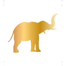  Ormányos elefánt autó matrica arany #613 matrica