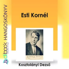 Országos Széchényi Könyvtár Esti Kornél egyéb e-könyv