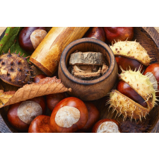  Összetétel 23 tapéta, 350 x 250 cm tapéta, díszléc és más dekoráció