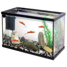 PACIFIC 40 akvárium 20l 40x20x25cm fedő üveg+szűrő+növény+kavics akvárium