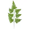  Páfrány levél zöld 50cm