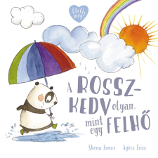 Pagony Kiadó Kft. A rosszkedv olyan, mint egy felhő gyermek- és ifjúsági könyv