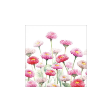  Painted Bellis papírszalvéta 33x33cm, 20db-os asztalterítő és szalvéta