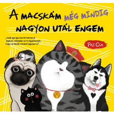 Paj Csa - A macskám még mindig nagyon utál engem gyermek- és ifjúsági könyv