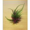  Palás akváriumi műnövény (páfrány) vöröses-zöld levelekkel (15 cm)