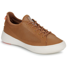 Palladium Rövid szárú edzőcipők PALLANOVA LTH Barna 38