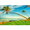  Pálmafák a tengerparton tapéta, 300 x 250 cm