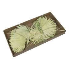  Pálmalevél dobozban, szárított S/20 dekorációs kellék