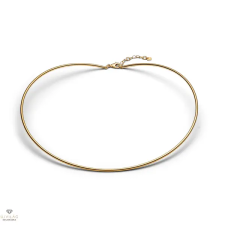 Pandora csőszerű nyaklánc 41 cm - 364705C00-M nyaklánc