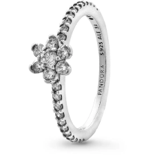 Pandora Moments 194499C01-54 (Ag 925/1000, 1,91 g) gyűrű