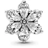Pandora Třpytivý herbářový shluk 792623C01