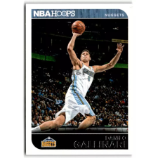 Panini 2014-15 Hoops #255 Danilo Gallinari gyűjthető kártya