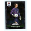 Panini 2016 Panini Panini Uefa Euro Prizm Base #225 Shay Given