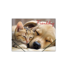 PANTA PLAST Friendship A4 Gumis mappa - Mintás mappa