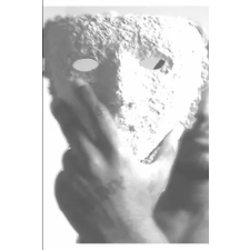  Paper Mache idegen nyelvű könyv