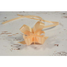  Papír gyorsmasni 2x49cm Barack konyhai eszköz