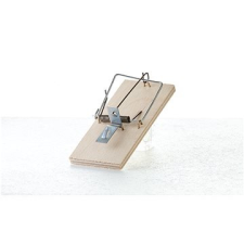 PAPÍRNA MOUDRÝ Fa egérfogó 6 db tisztító- és takarítószer, higiénia