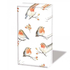  Papírzsepi- Robin family higiéniai papíráru