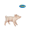 Papo : Koca