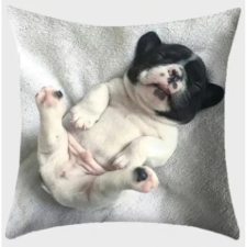  Párnahuzat Francia bulldog 21 lakástextília