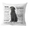  Párnahuzat Labrador retriever 2