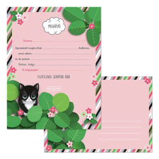  Partimeghívó ARS UNA 10 ív+10 db boríték Think Pink party kellék